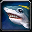 Bébé requin